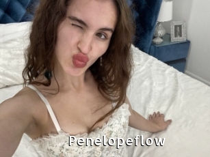 Penelopeflow