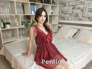 Penflo