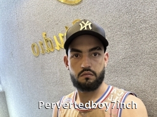 Pervertedboy7inch