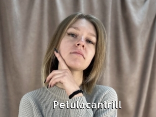 petulacantrill My Porno Stash