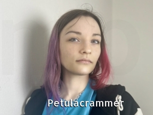Petulacrammer