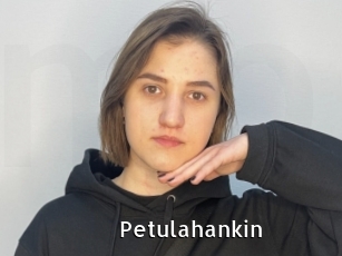 Petulahankin
