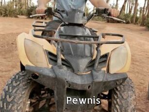 Pewnis