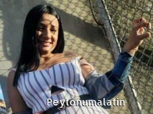 Peytonumalatin