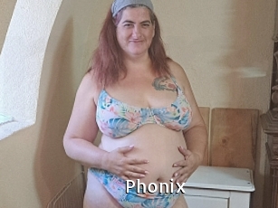 phonix My Porno Stash