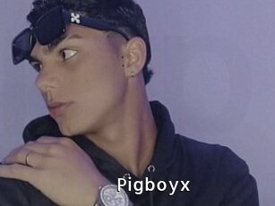 Pigboyx