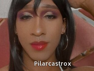 pilarcastrox My Porno Stash