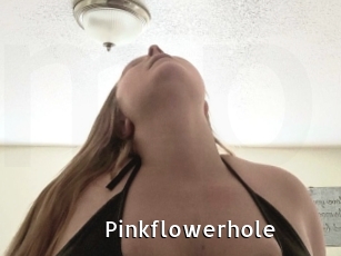 Pinkflowerhole