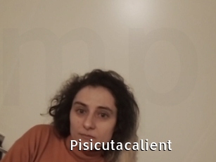 Pisicutacalient