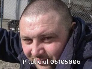 Pituliciul-06105006