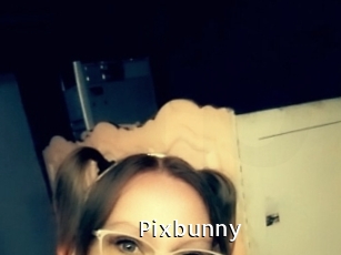 Pixbunny