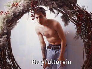 Playfultorvin