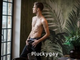 pluckygay My Porno Stash