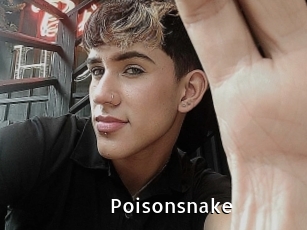 Poisonsnake