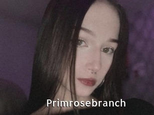 Primrosebranch