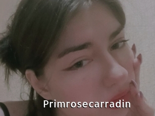 Primrosecarradin