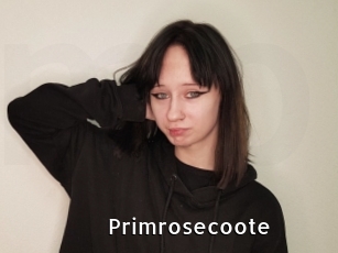 Primrosecoote