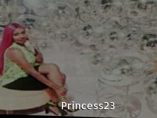 Princess23