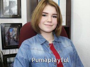Pumaplayful