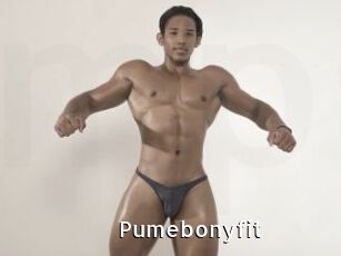Pumebonyfit