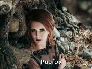 Pupfox