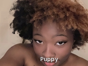 Puppy