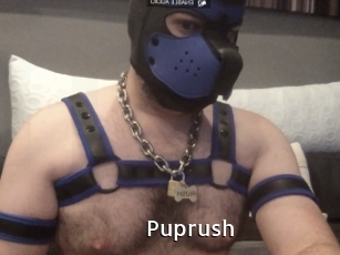 Puprush