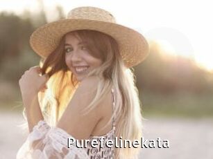 Purefelinekata