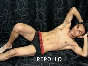REPOLLO
