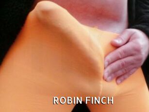 ROBIN_FINCH