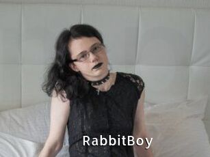 RabbitBoy