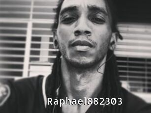 Raphael882303