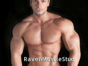 RavenMuscleStud