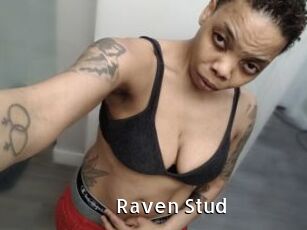 Raven_Stud