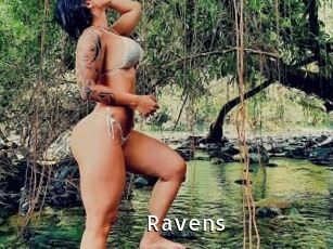 Ravens My Porno Stash