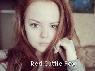 Red_Cuttie_Fox