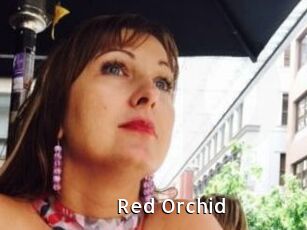 Red_Orchid