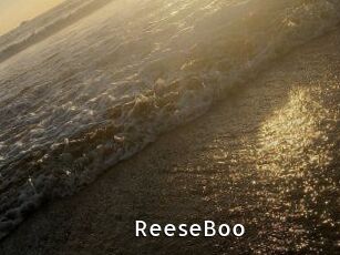 ReeseBoo