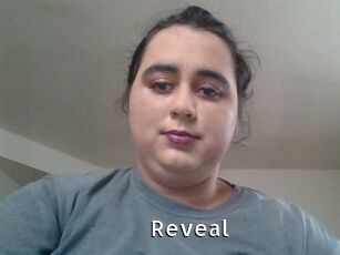 Reveal My Porno Stash