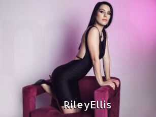 RileyEllis My Porno Stash