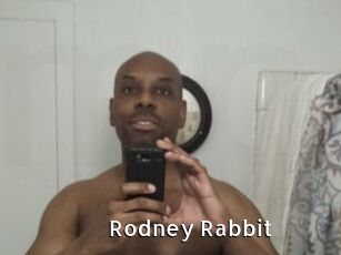 Rodney_Rabbit
