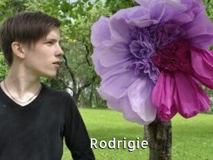 Rodrigie