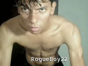 RogueBoy22