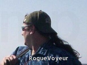 RogueVoyeur