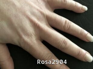 Rosa2904