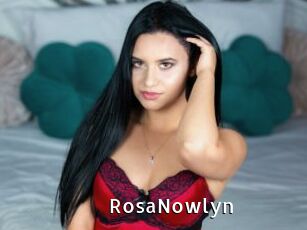 RosaNowlyn My Porno Stash