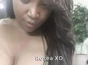 Rosea_XO My Porno Stash