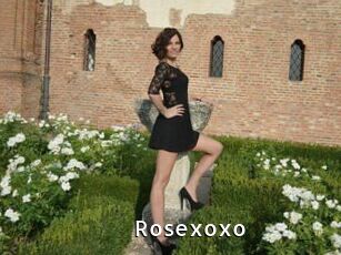 Rosexoxo