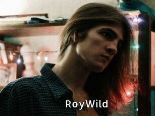 RoyWild
