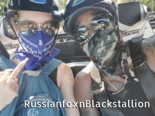 RussianfoxnBlackstallion